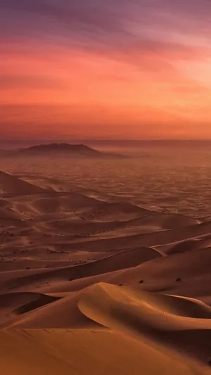 Get Lost In The Beauty Of Desert Iphone Wallpaper