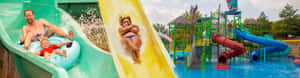 Get Lost In The Colorful Beauty Of Hawaiian Falls Water Park In Garland Wallpaper