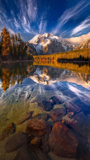 Get Modern Technology With A High Quality Phone Wallpaper