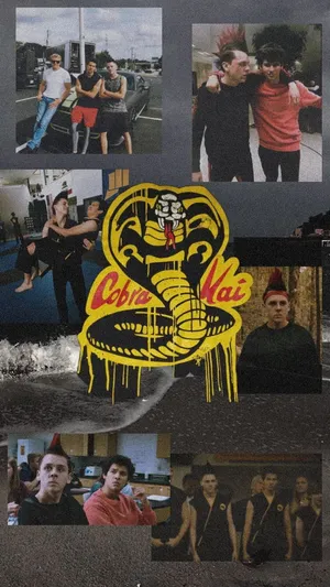Get Ready To Bring The Heat With The Cobra Kai Phone Wallpaper