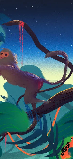 Get Ready To Go Bananas With The Monkey Iphone Wallpaper