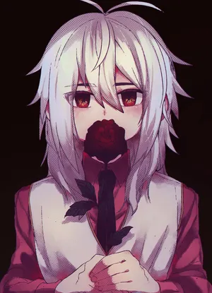 Get The Best Shu Kurenai Wallpapers And Images Ever. Wallpaper