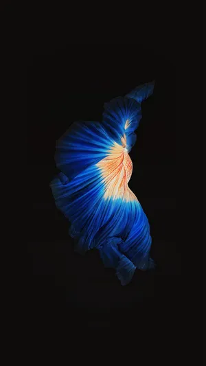 Get The Hottest New Look - The Dark Blue Iphone Wallpaper