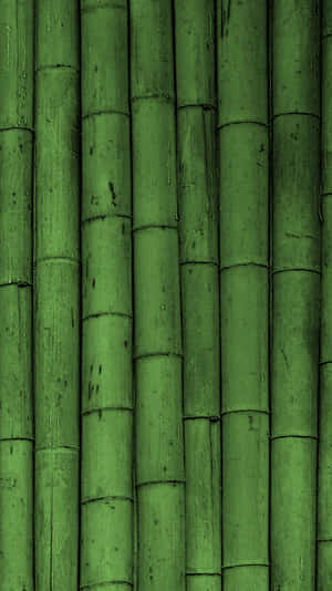 Get The Hottest New Phone In Town - The Olive Green Iphone Wallpaper