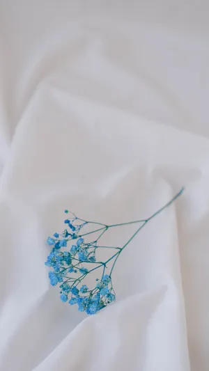 Get The Most Adorable Light Blue Look With This Cute Light Blue Design! Wallpaper