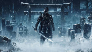 Ghost Of Tsushima Jin Sakai In Cemetery 4k Wallpaper