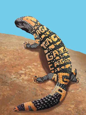 Gila Monster Art With Letter Patterns Wallpaper