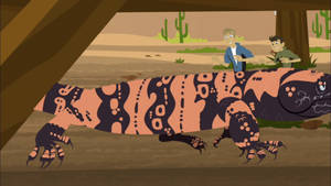 Gila Monster Under My House Wild Kratts Wallpaper