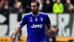 Giorgio Chiellini Juventus Fc Football Player Wallpaper