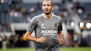 Giorgio Chiellini Los Angeles Fc Vs. Real Salt Lake Wallpaper