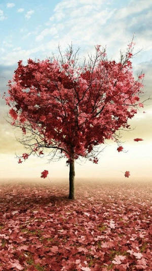 Girly Heart Tree In Autumn Wallpaper