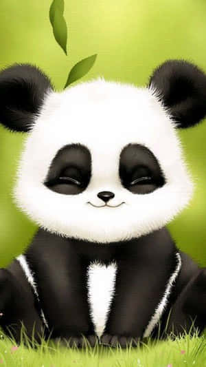 Girly Panda Eyes Closed Wallpaper