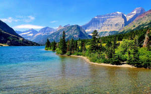 Glacier National Park Lake Shore Wallpaper