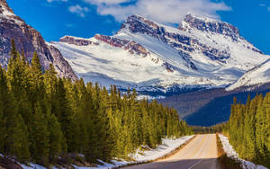 Glacier National Park Road Wallpaper