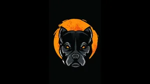 Glaring Black Pitbull With Glowing Eyes Wallpaper
