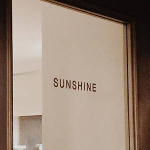 Glass Door In Tan Aesthetic Wallpaper