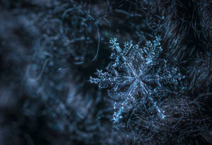 Glittering Ice Snowflake Wallpaper