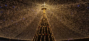 Glittery Christmas Lights Tree Wallpaper