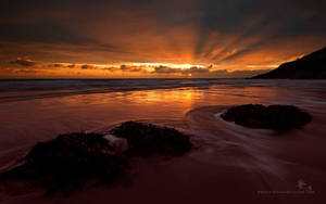 Gloomy Ocean Sunset Beach Wallpaper