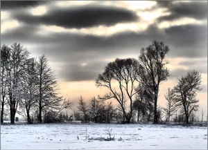 Gloomy Weather In Winter Wallpaper