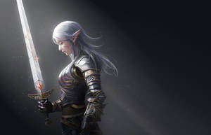 Glorious Elf Crusader Wallpaper