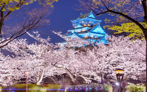 Glorious Osaka Castle Wallpaper