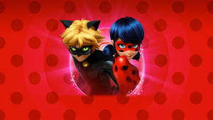 Glowing Cat Noir Miraculous Ladybug Wallpaper