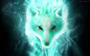 Glowing Wolf Wild Animal Wallpaper