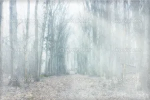Go On A Journey Through The Mystical Forest Wallpaper