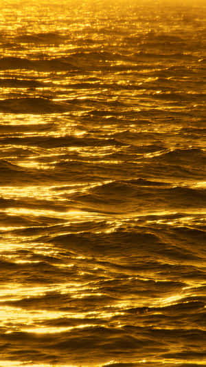 Gold Iphone Sea Water Sunlight Wallpaper