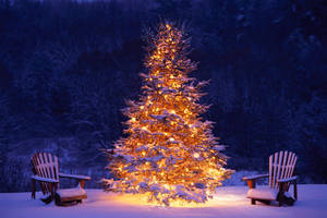 Gold Snowy Christmas Tree Outside Wallpaper
