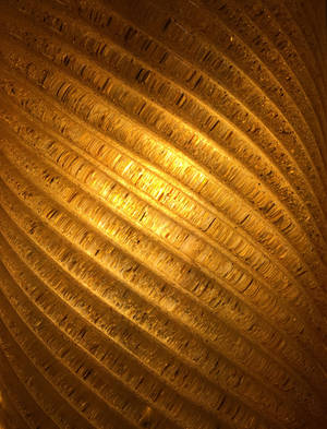Gold Spiral Wallpaper