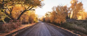 Golden Autumn Road Wallpaper