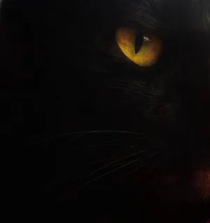 Golden Black Feline Cat Eyes Wallpaper