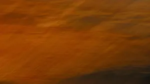 Golden Brown Paint Texture Wallpaper