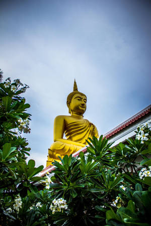 Golden Buddha Behind Leaves Wallpaper