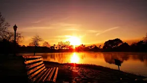Golden Lake Bench Sunrise Wallpaper