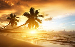 Golden Sunset Beach Desktop Wallpaper