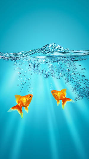 Goldfish Blue Water Art Wallpaper