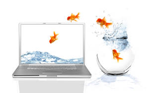 Goldfishes Jumping Out Wallpaper