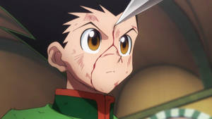 Gon Freecss Bloody Face Wallpaper