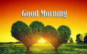 Good Morning Friday Sunriseand Heart Shaped Trees Wallpaper