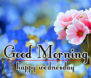 Good Morning Happy Wednesday Flowers Wallpaper