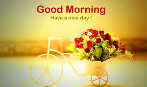 Good Morning Quote Bicycle Flower Wallpaper