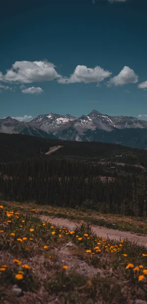 Google Pixel Garden Of Paradise Wallpaper