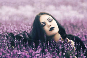 Goth Girl In Purple Field Wallpaper