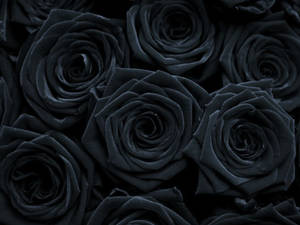 Gothic Black Roses Bouquet Wallpaper