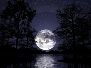 Gothic Computer Full Moon In Forest Wallpaper