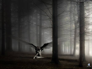 Gothic Girl Angel In Forest Wallpaper