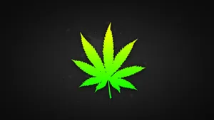 Gradient Stoner Weed Wallpaper